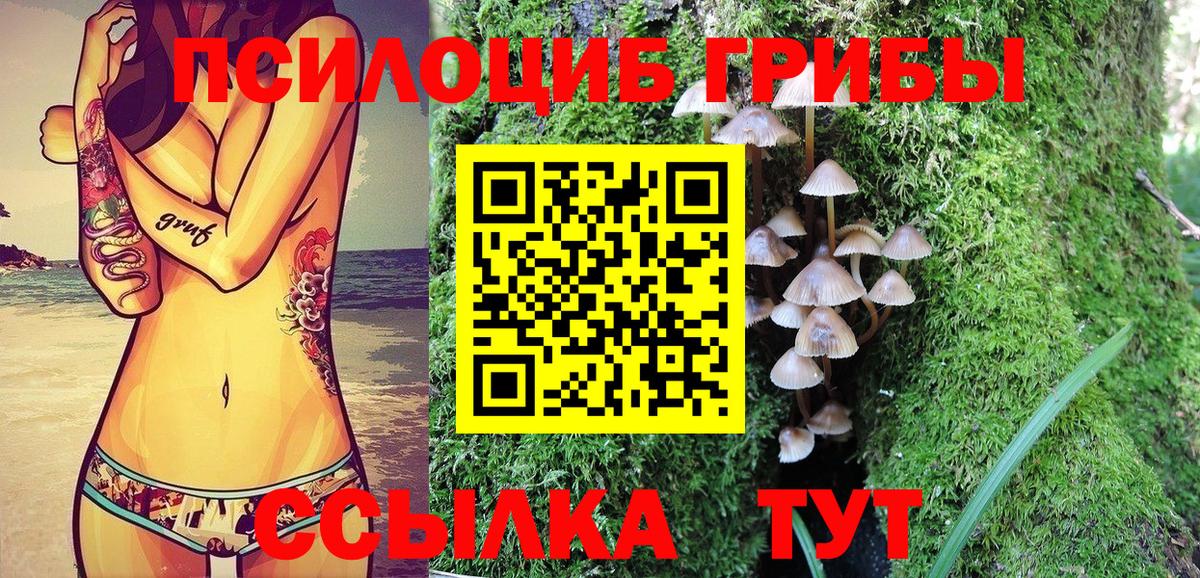 Галлюциногенные грибы прущие грибы Ялта