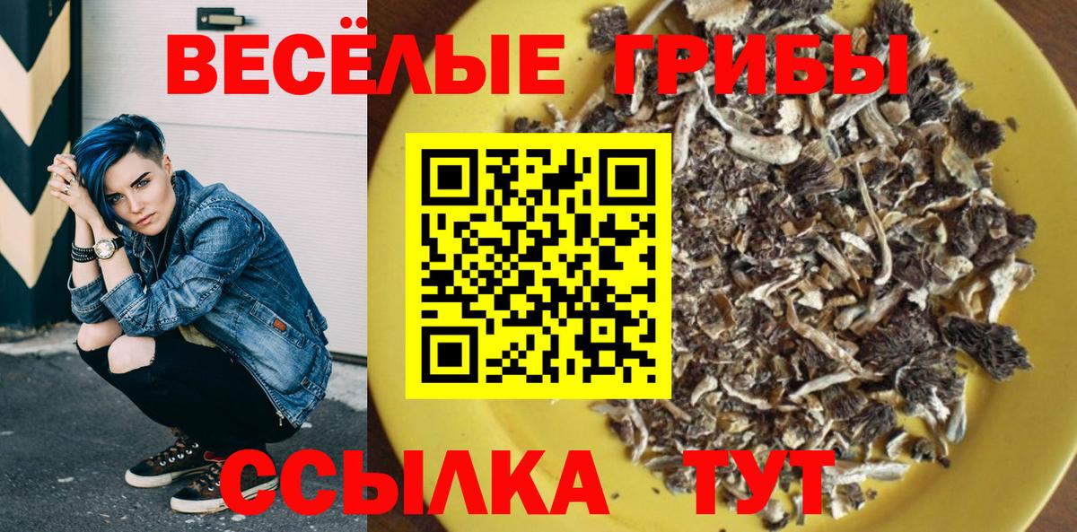 Галлюциногенные грибы GOLDEN TEACHER  Вход с VPN  Ялта 